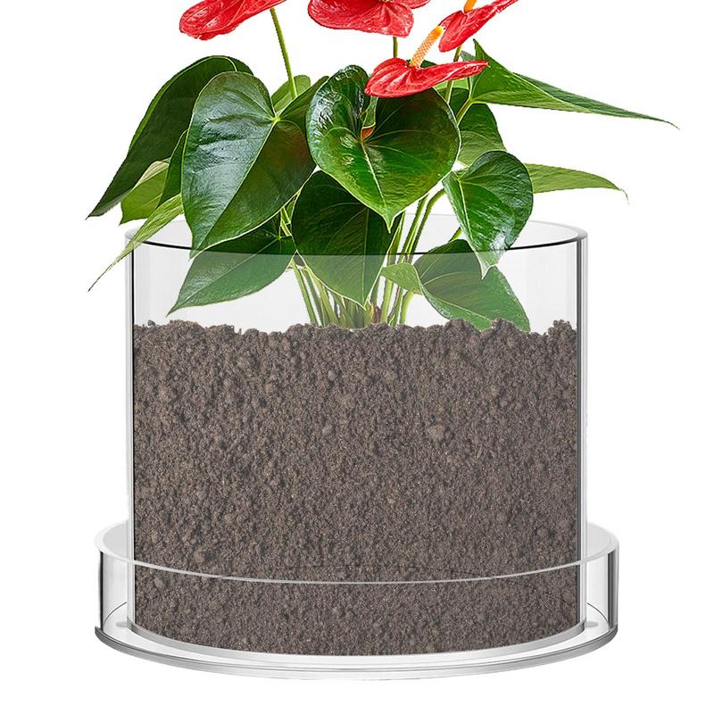 Food Storage Plants - Clear Plant Pots With Drainage Clear