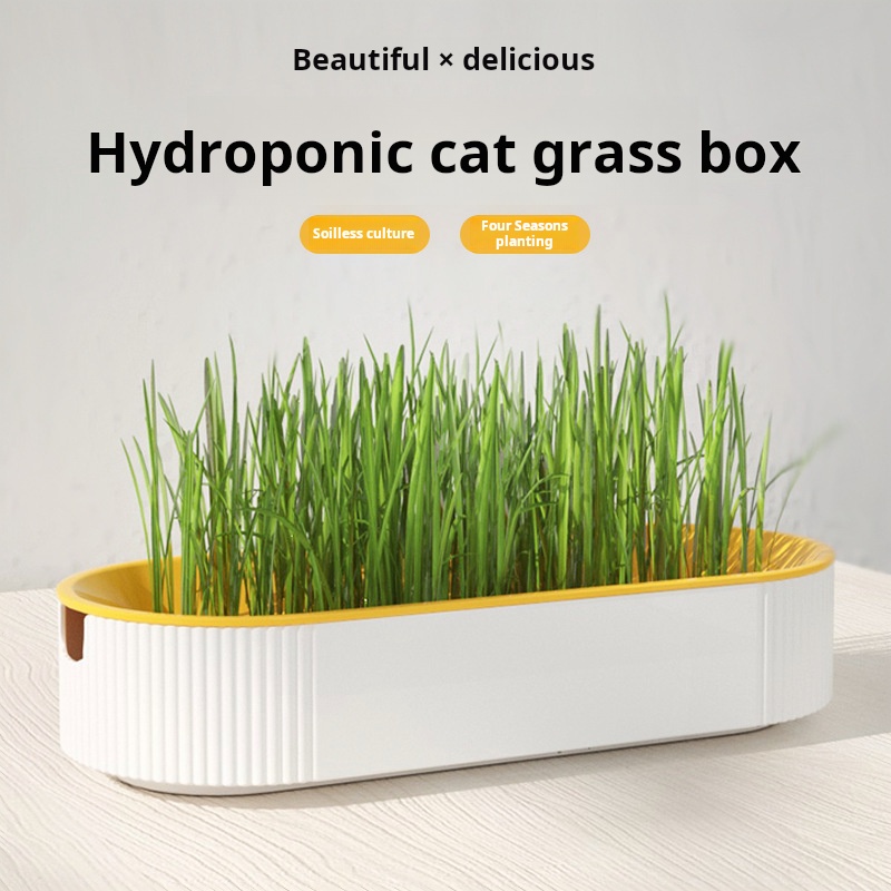 Easy Growth Hydroponic Cat Gra - Food Storage Plants 评论和价格