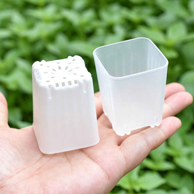 50-100Pcs 4cm Mini Thicken Whi - Food Storage Plants 评论和价格