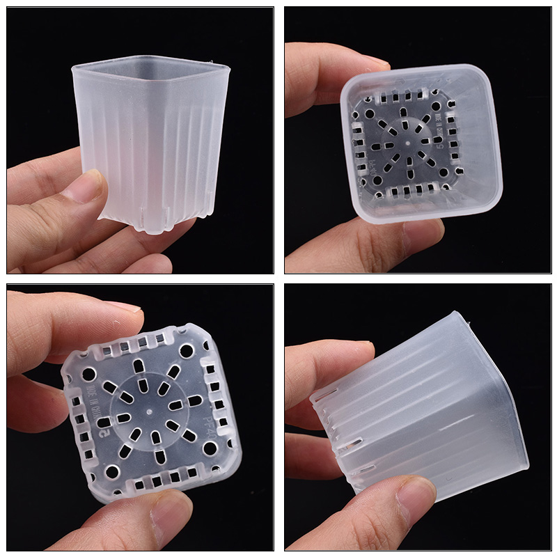 50-100Pcs 4cm Mini Thicken Whi - Food Storage Plants 评论和价格