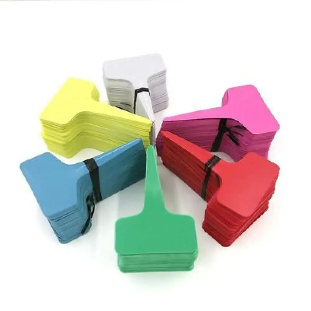25-200Pcs Reusable Plastic Pla - Food Storage Plants 评论和价格