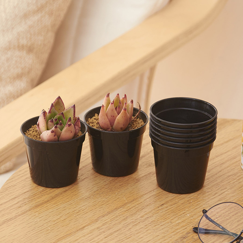 10/20pcs Round Plastic Flowerp - Food Storage Plants 评论和价格