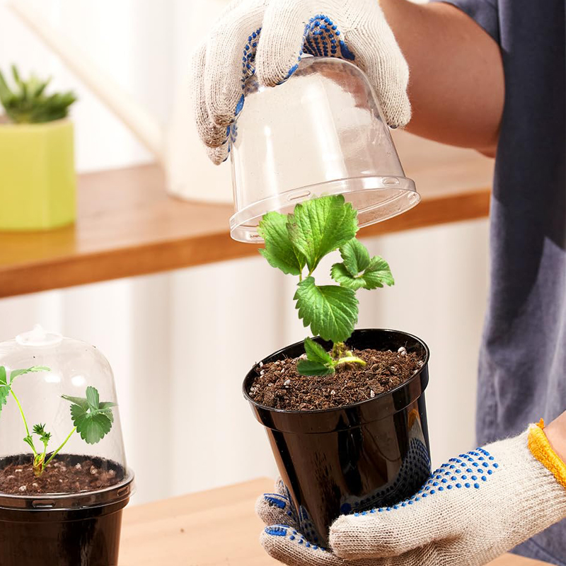 Nursery Pots Flowerpot Gardeni - Food Storage Plants 评论和价格