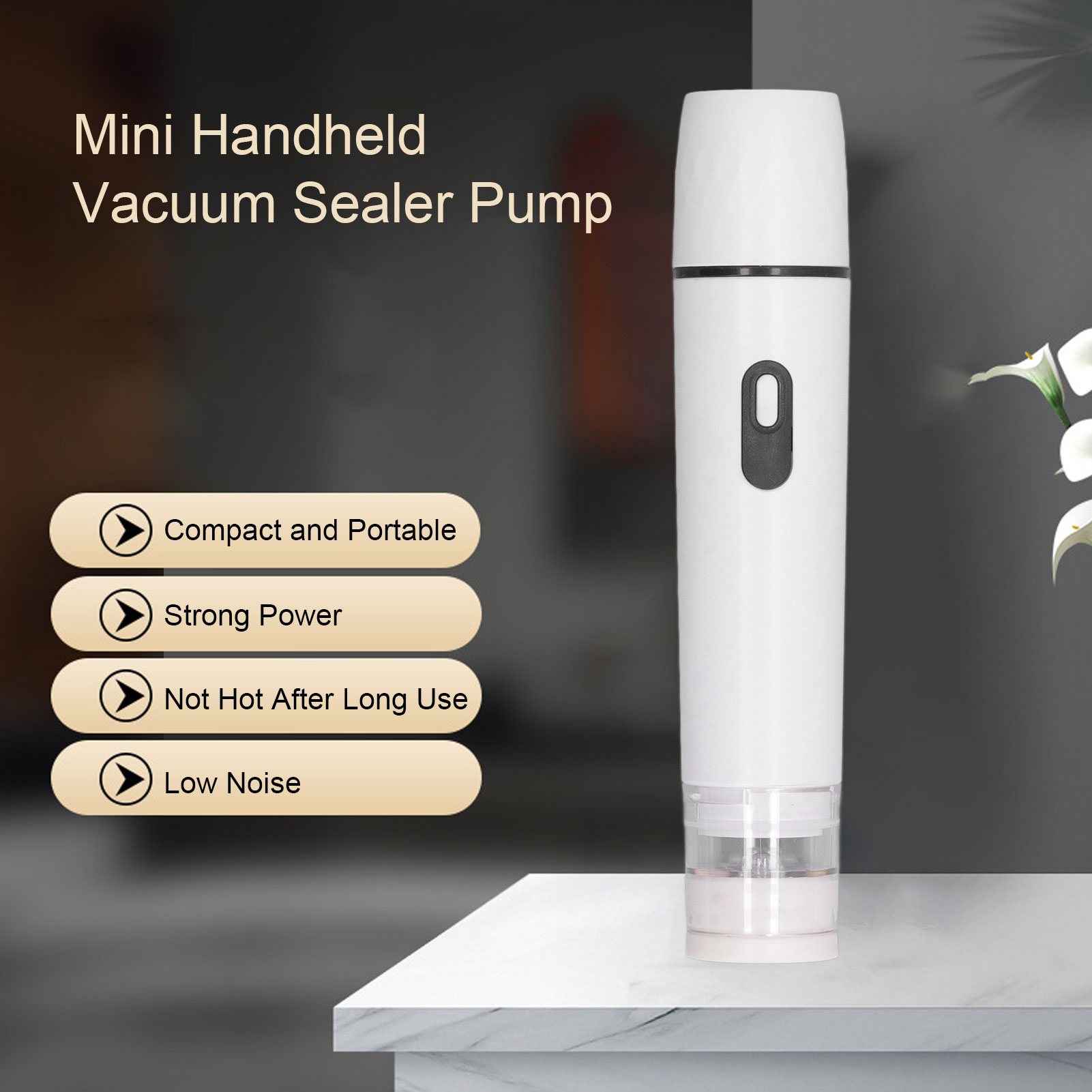 Electric Air Pump Handheld Vac - Food Storage Vacuum 评论和价格