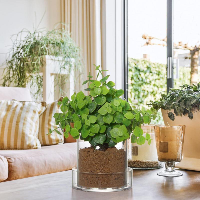 Clear Plant Pots With Drainage - Food Storage Plants 评论和价格