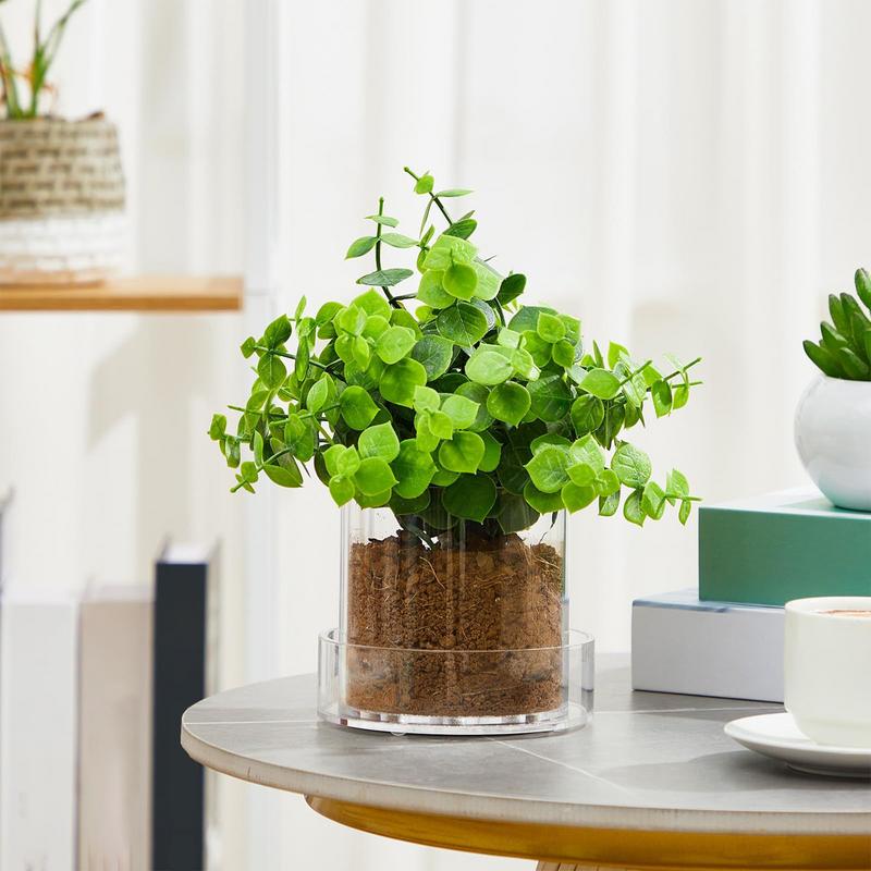 Clear Plant Pots With Drainage - Food Storage Plants 评论和价格