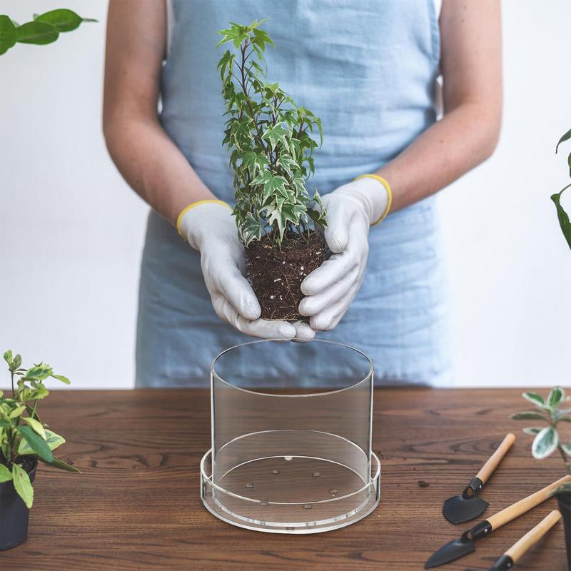 Clear Plant Pots With Drainage - Food Storage Plants 评论和价格