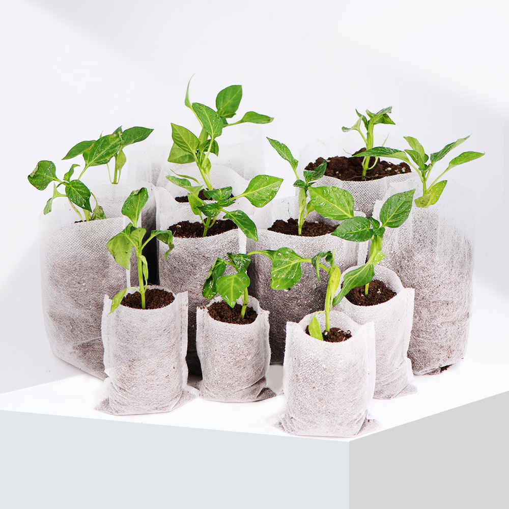 Biodegradable Nonwoven Fabric  - Food Storage Plants 评论和价格