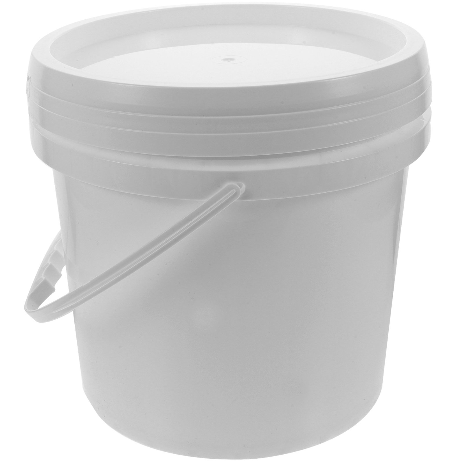 Sturdy Plastic Paint Bucket wi - Food Storage Safe 评论和价格