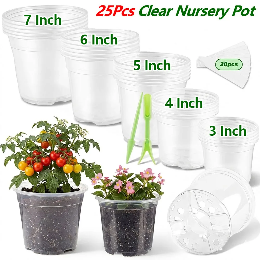 25Pcs 3/4/5/6/7 Inch Clear Nur - Food Storage Plants 评论和价格