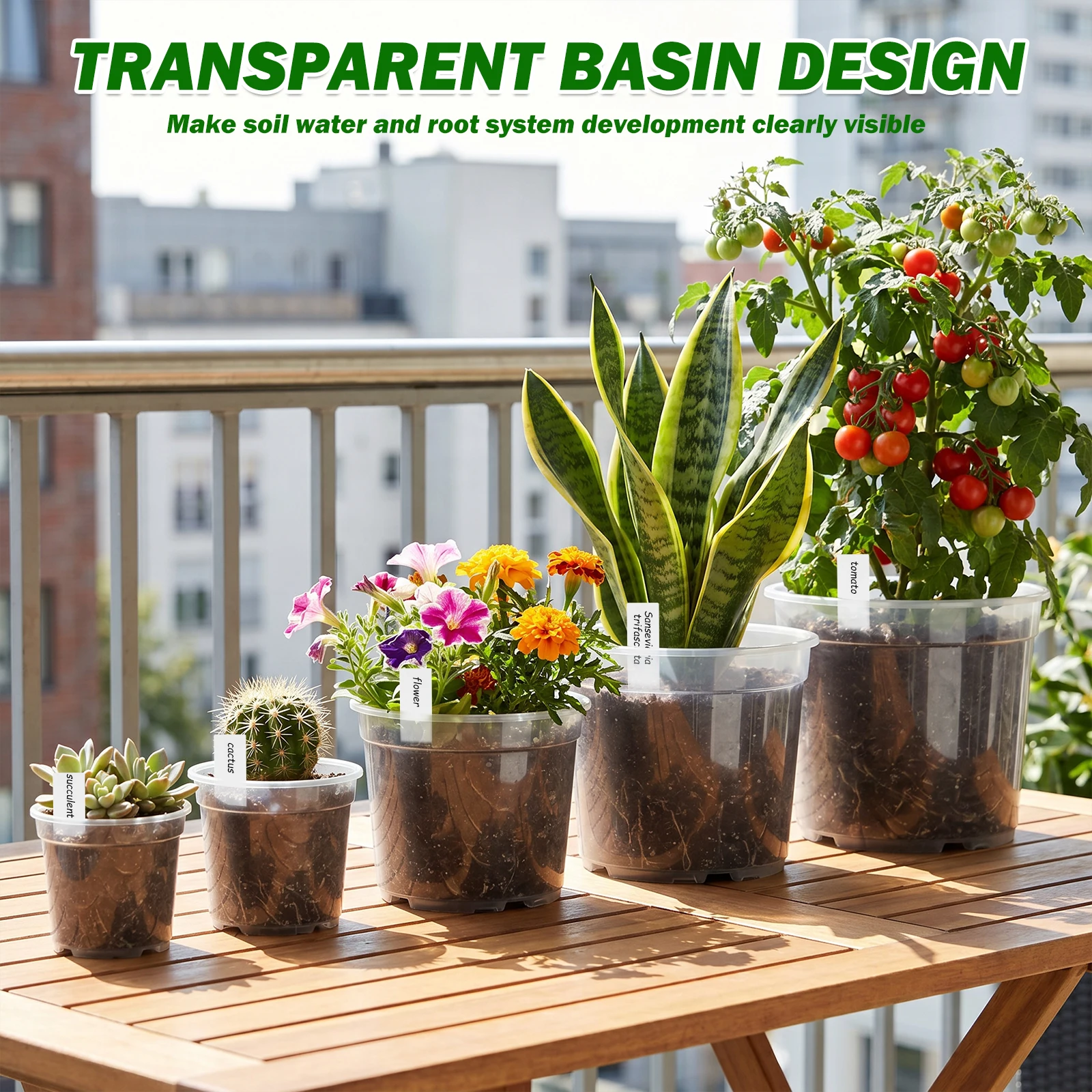 25Pcs 3/4/5/6/7 Inch Clear Nur - Food Storage Plants 评论和价格