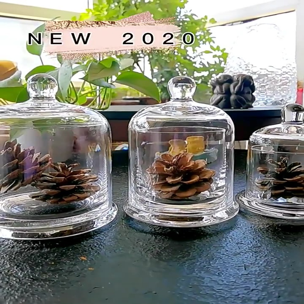 Glass Glass Storage Jar Eterna - Food Storage Plant 评论和价格